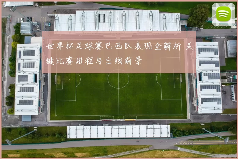 世界杯足球赛巴西队表现全解析 关键比赛进程与出线前景